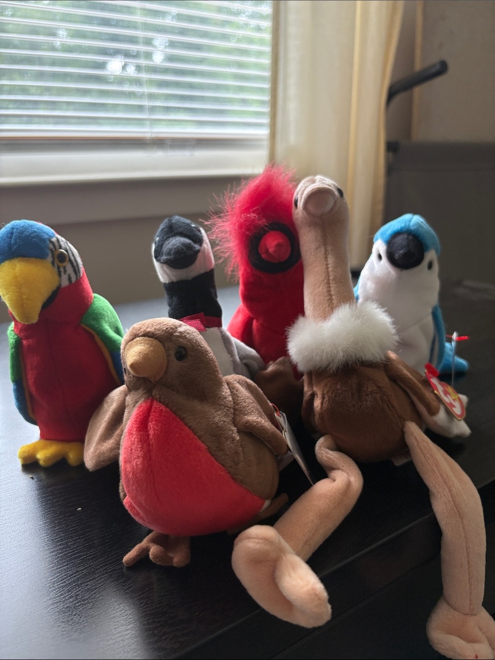 Ty Beanie Babies Plush Bird Collection - Brown/Red and Multicolor Options